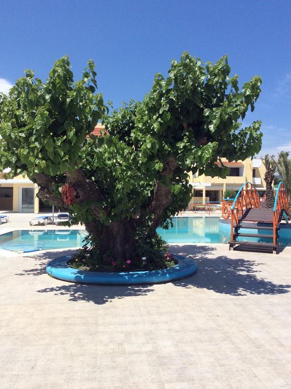 Angelos Beach Hotel Faliraki Bagian luar foto